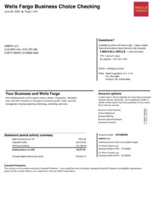 fake Wells Fargo Bank statement template