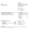 Wells-Fargo-Bank-statement-template